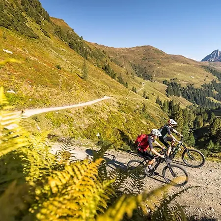 Celina - Panoramastall Rossberg * Neukirchen am Grossvenediger
